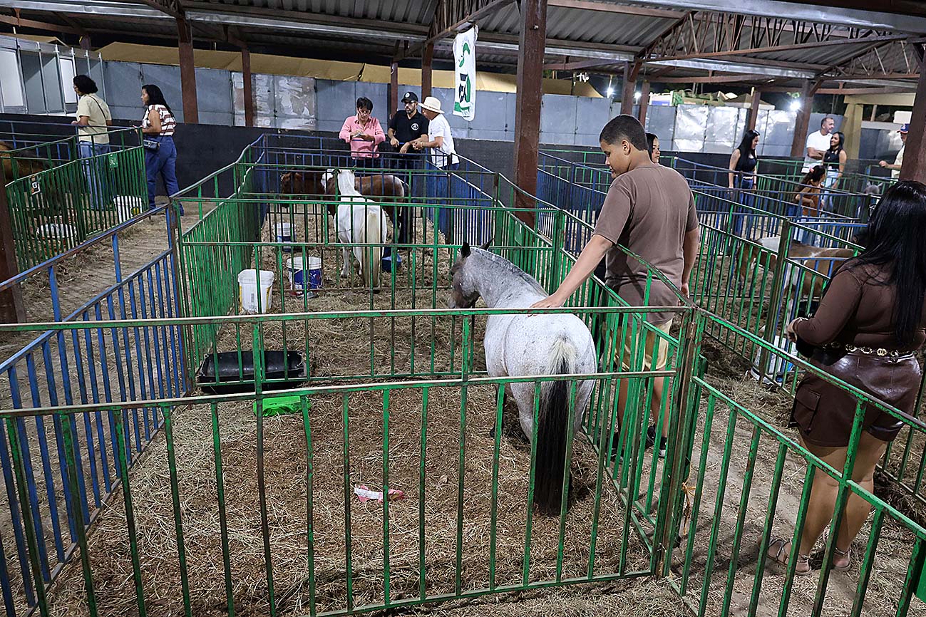 Foto: Reprodução/Prefeitura de Feira de Santana - BA