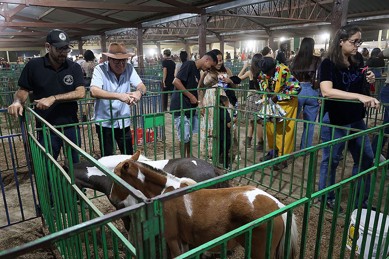 Foto: Reprodução/Prefeitura de Feira de Santana - BA